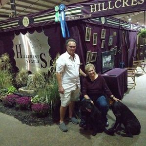 Meet your Posher, Jayne